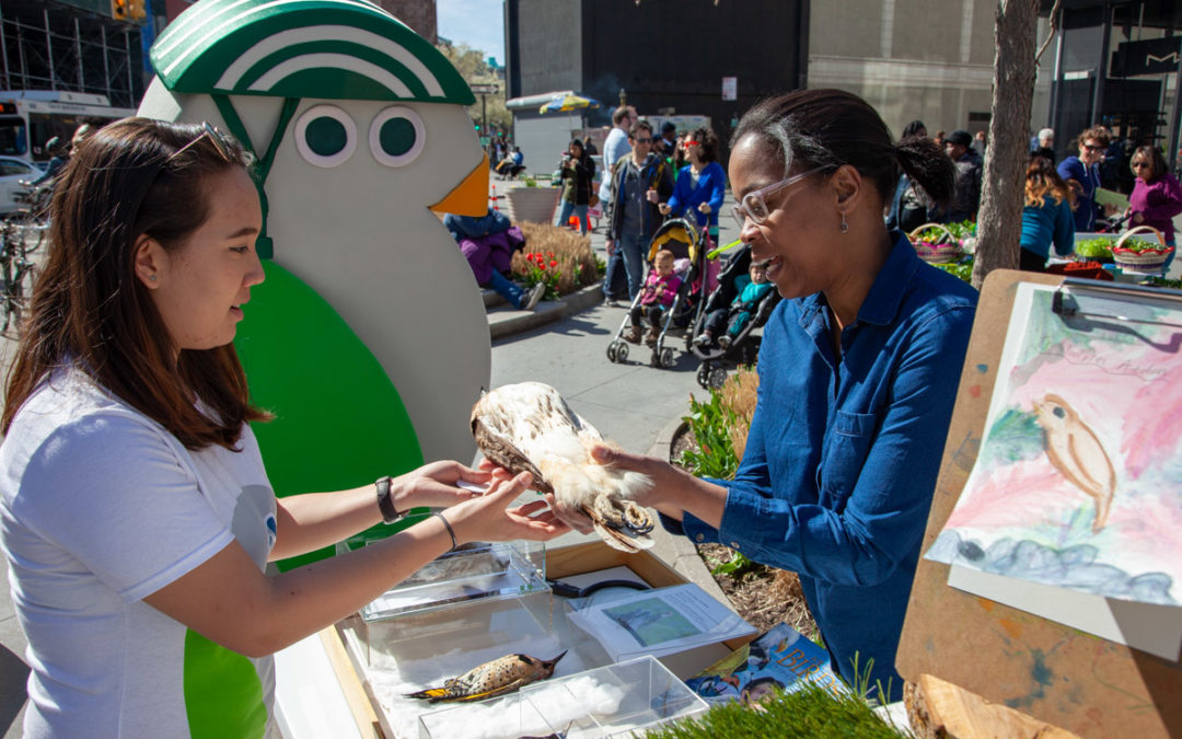 READ and EXPLORE (with birds!) at Albee Square, Brooklyn
