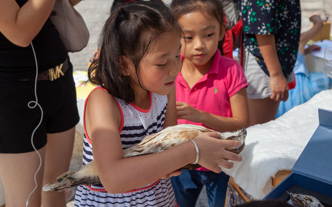 Open-air science exhibit EXPLORE NYC begins residency in Chinatown