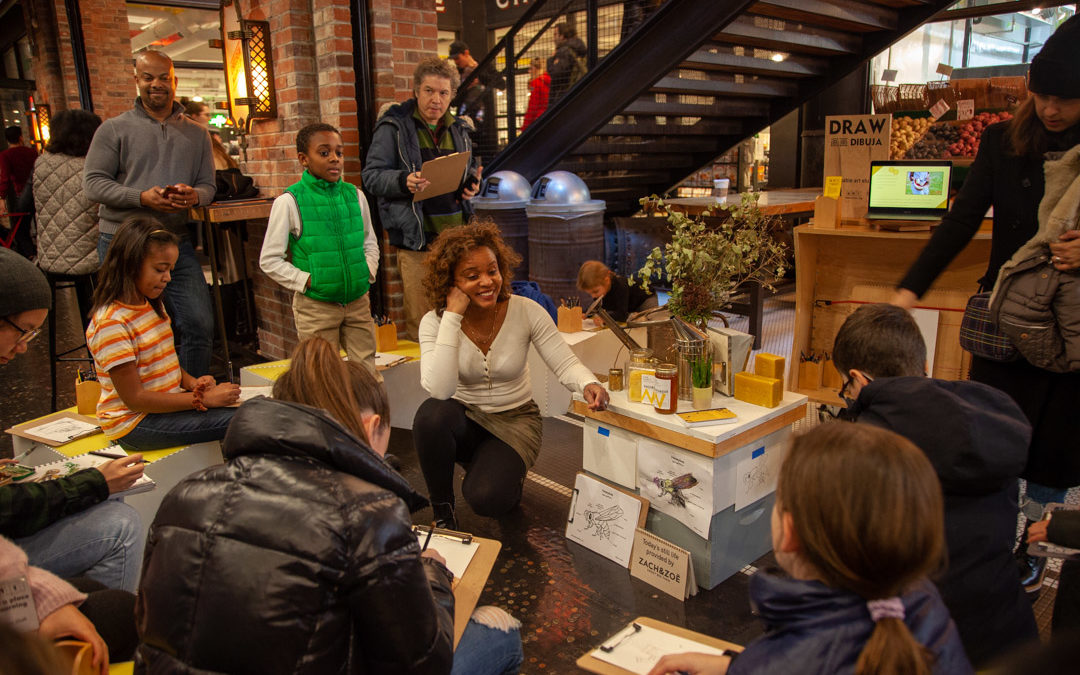 Drawing and learning about bees at Chelsea Market